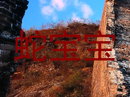 蛇宝宝