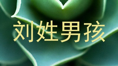 刘姓男孩