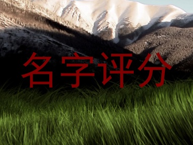 名字评分