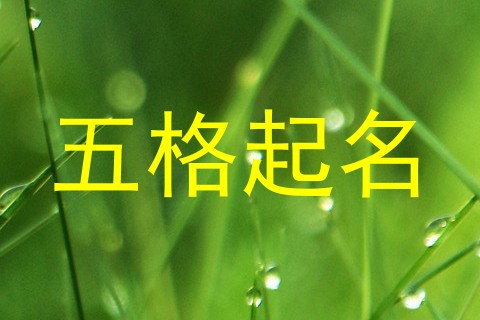 五格起名