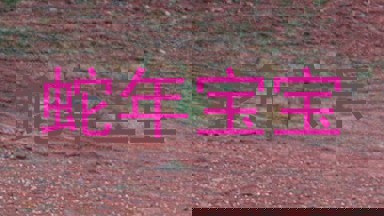 蛇年宝宝