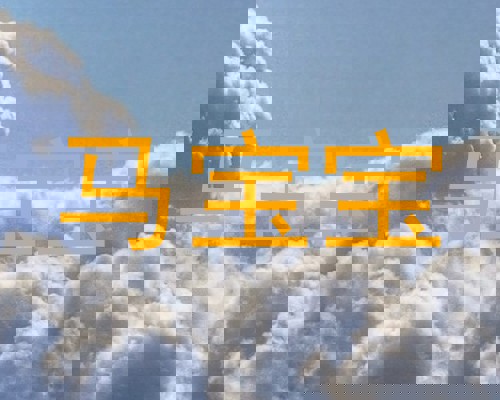 马宝宝