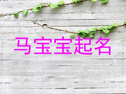 马宝宝起名