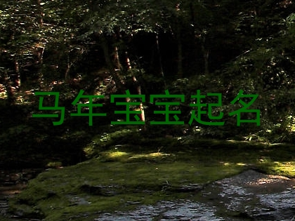 马年宝宝起名