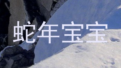蛇年宝宝