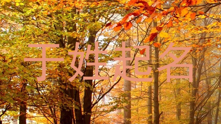 于姓起名