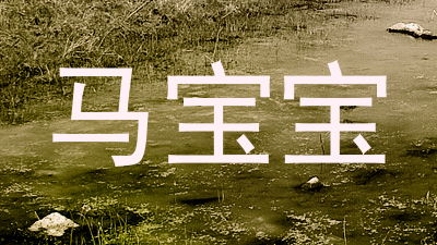 马宝宝