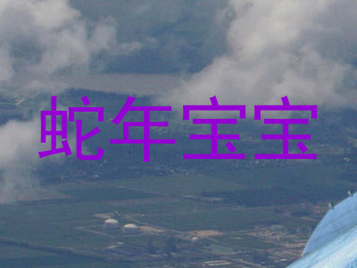 蛇年宝宝