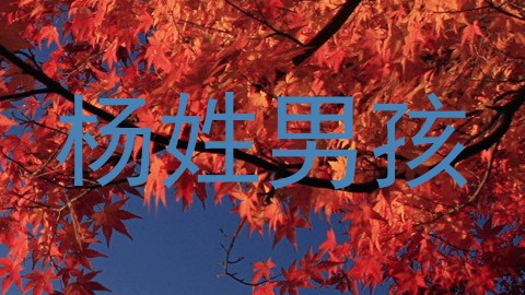 杨姓男孩