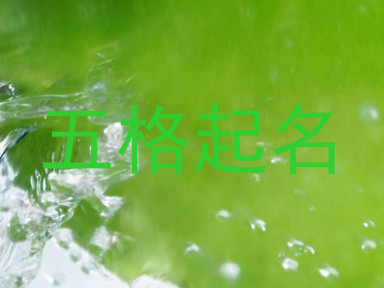 五格起名