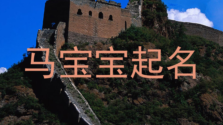 马宝宝起名