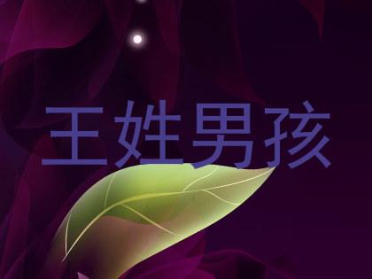 王姓男孩