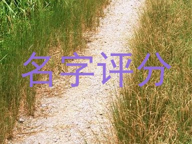 名字评分