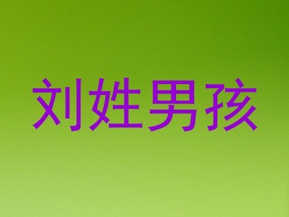 刘姓男孩