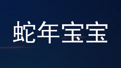蛇年宝宝