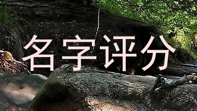 名字评分