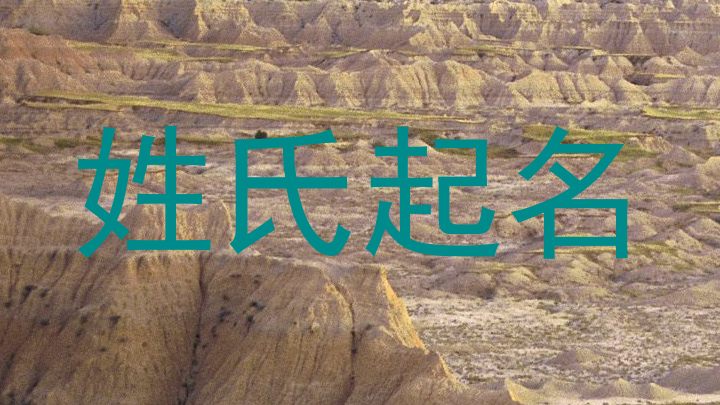 姓氏起名