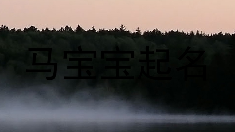 马宝宝起名