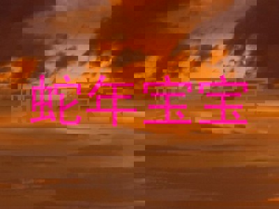 蛇年宝宝