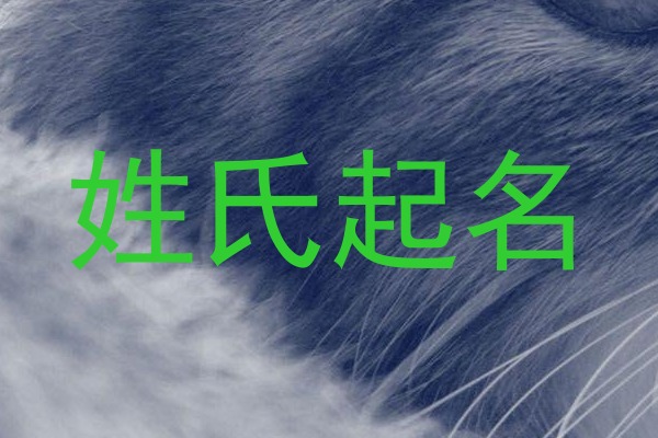 刘姓男孩