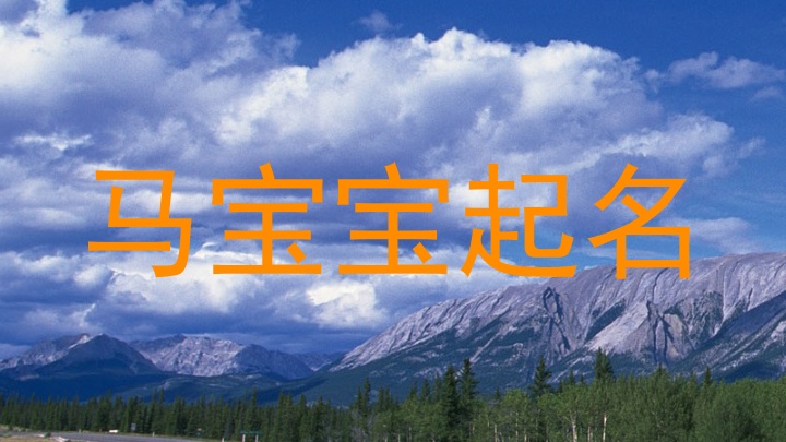 马宝宝起名