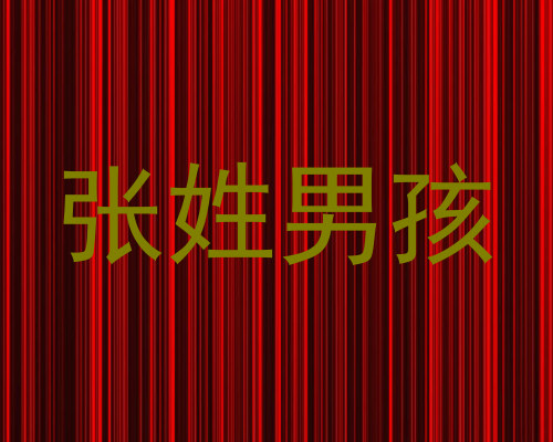 张姓男孩