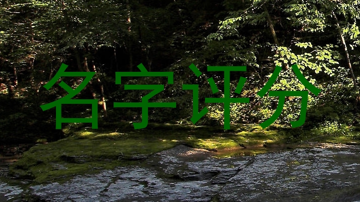 名字评分