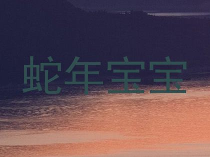 蛇年宝宝