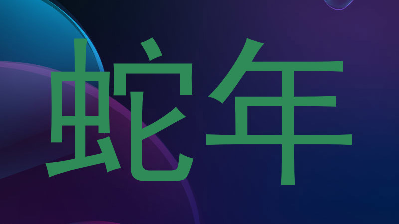 蛇年