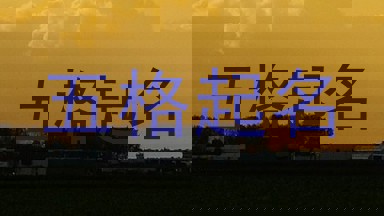 五格起名