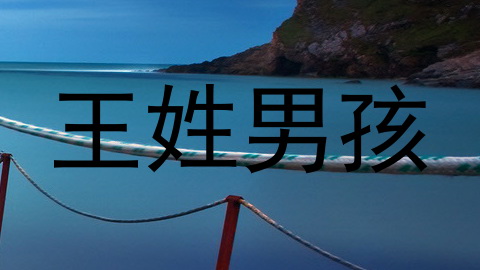 王姓男孩
