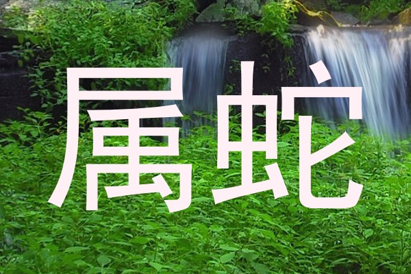 属蛇