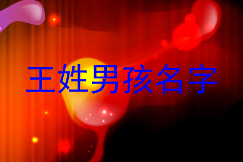 王姓男孩名字