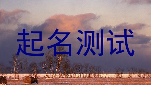 起名测试