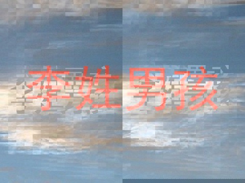 李姓男孩