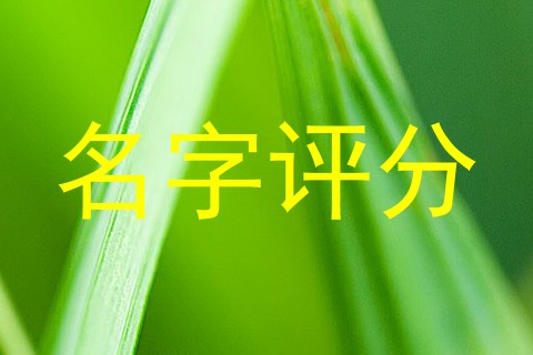 名字评分