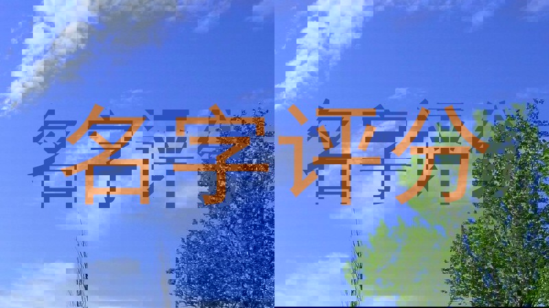 名字评分