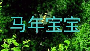 马年宝宝