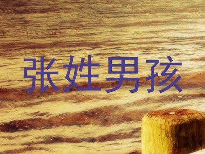 张姓男孩