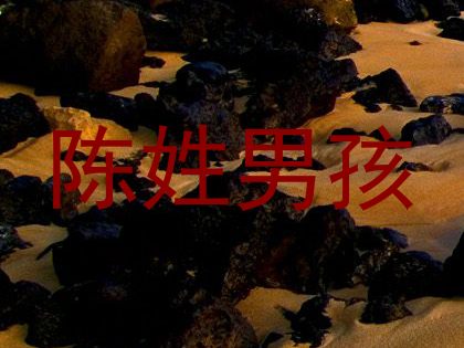 陈姓男孩