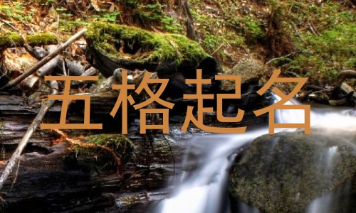 五格起名