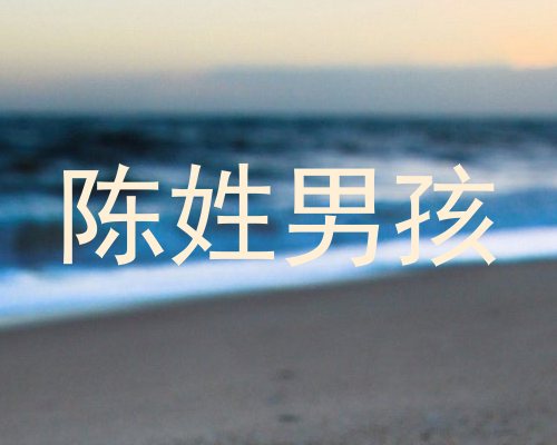 陈姓男孩