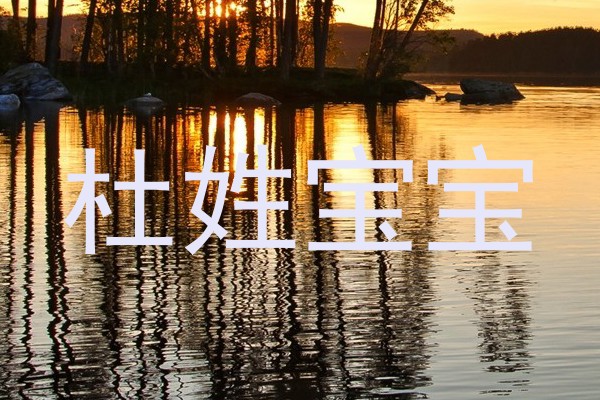 杜姓宝宝