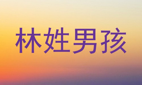 林姓男孩