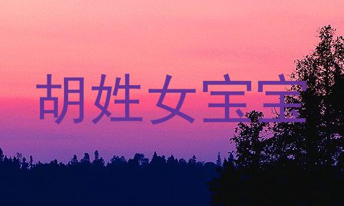 胡姓女宝宝