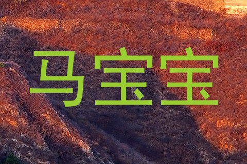 马宝宝