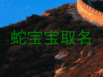 蛇宝宝取名
