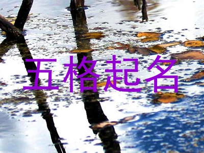 五格起名