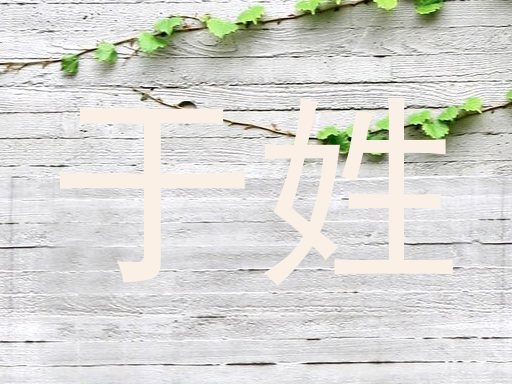 于姓