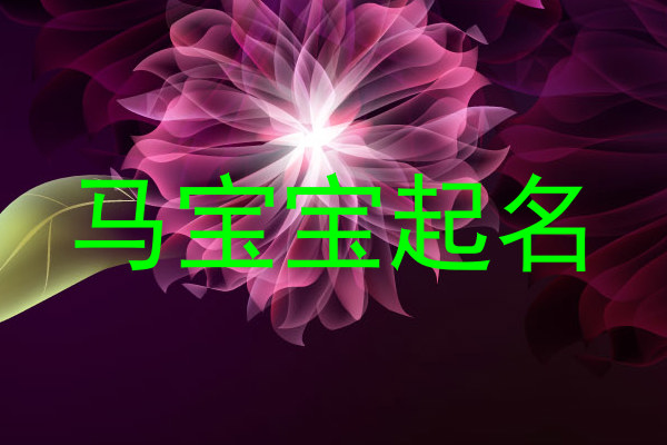 马宝宝起名